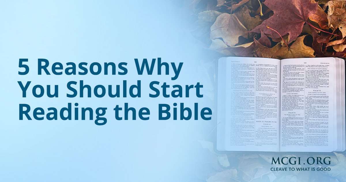 5 Reasons Why You Should Start Reading the Bible