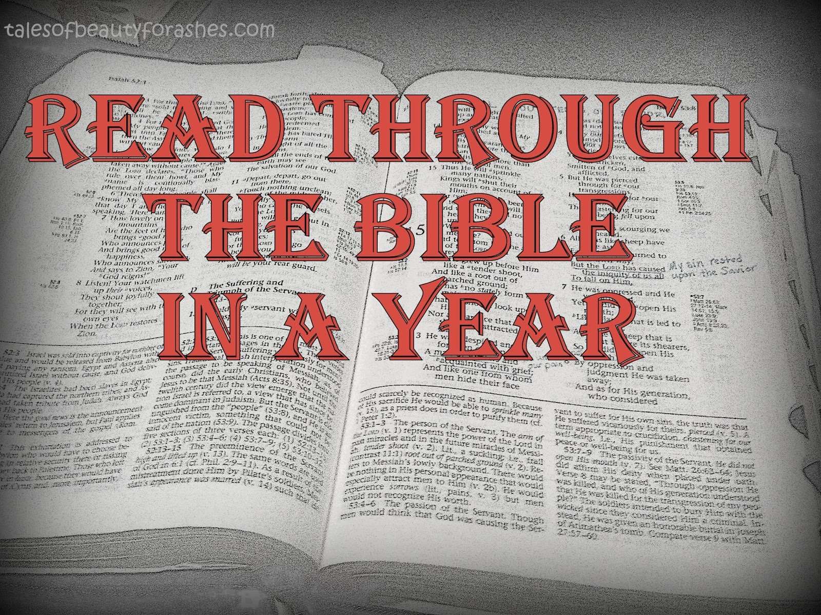 #9 Read through the Bible in a Year