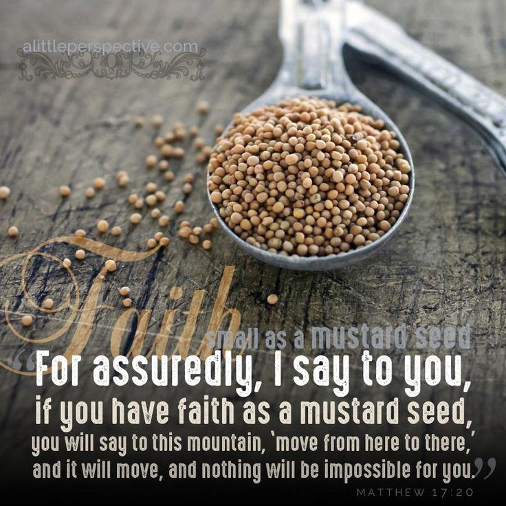 97 best mustard seeds.... images on Pinterest