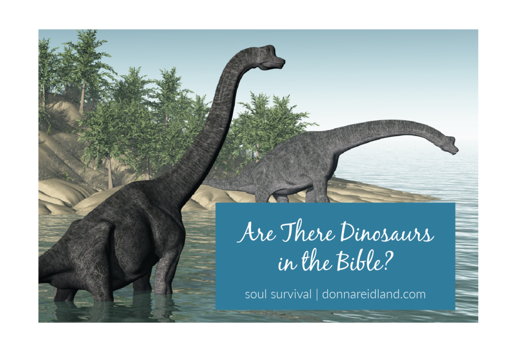" Are There Dinosaurs in the Bible?"  August 24