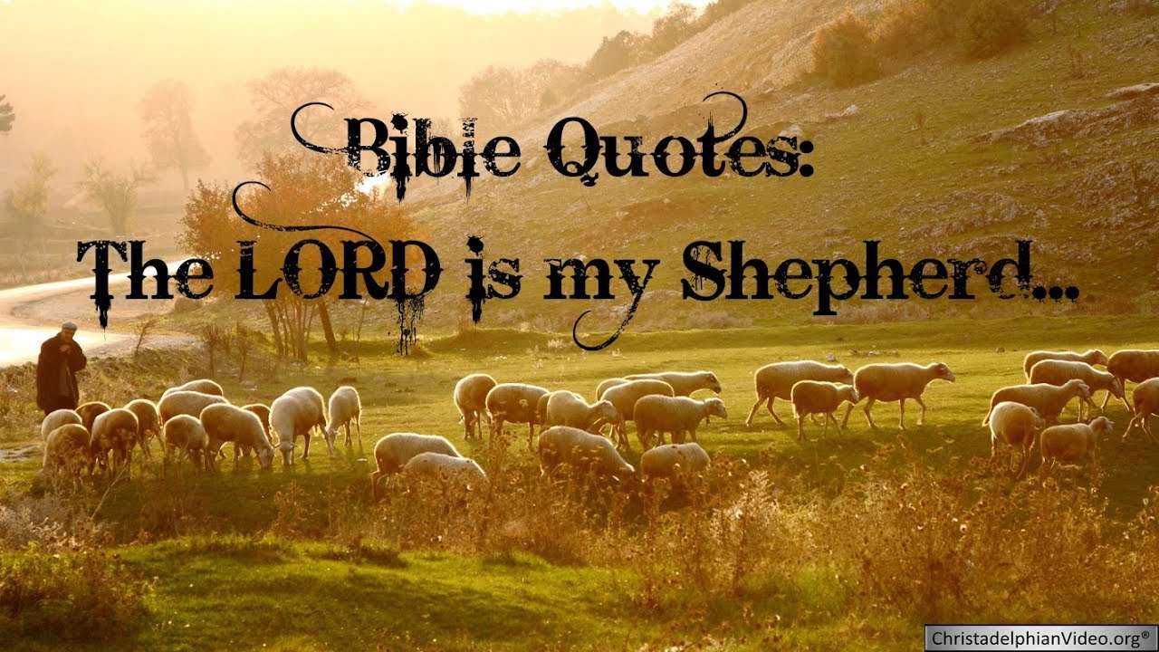 Bible Quotes: 