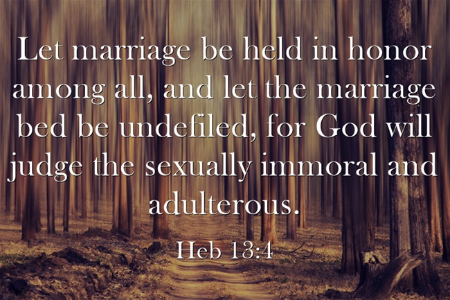 Bible verse about sex after marriage â jepececun