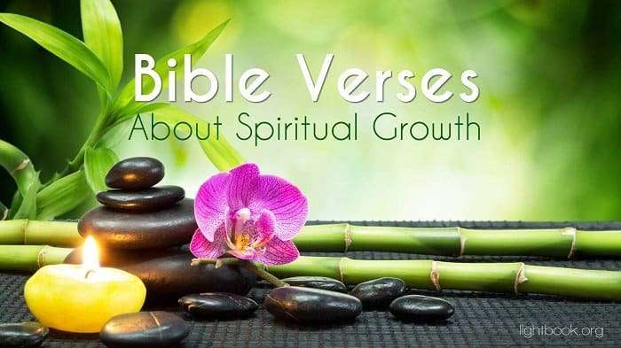 Bible Verses about Spiritual Growth ( 2 ) What Does the ...