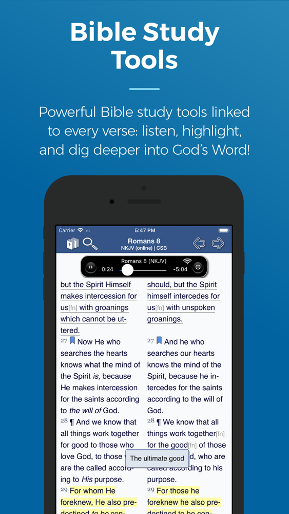 Blue Letter Bible App for iPhone