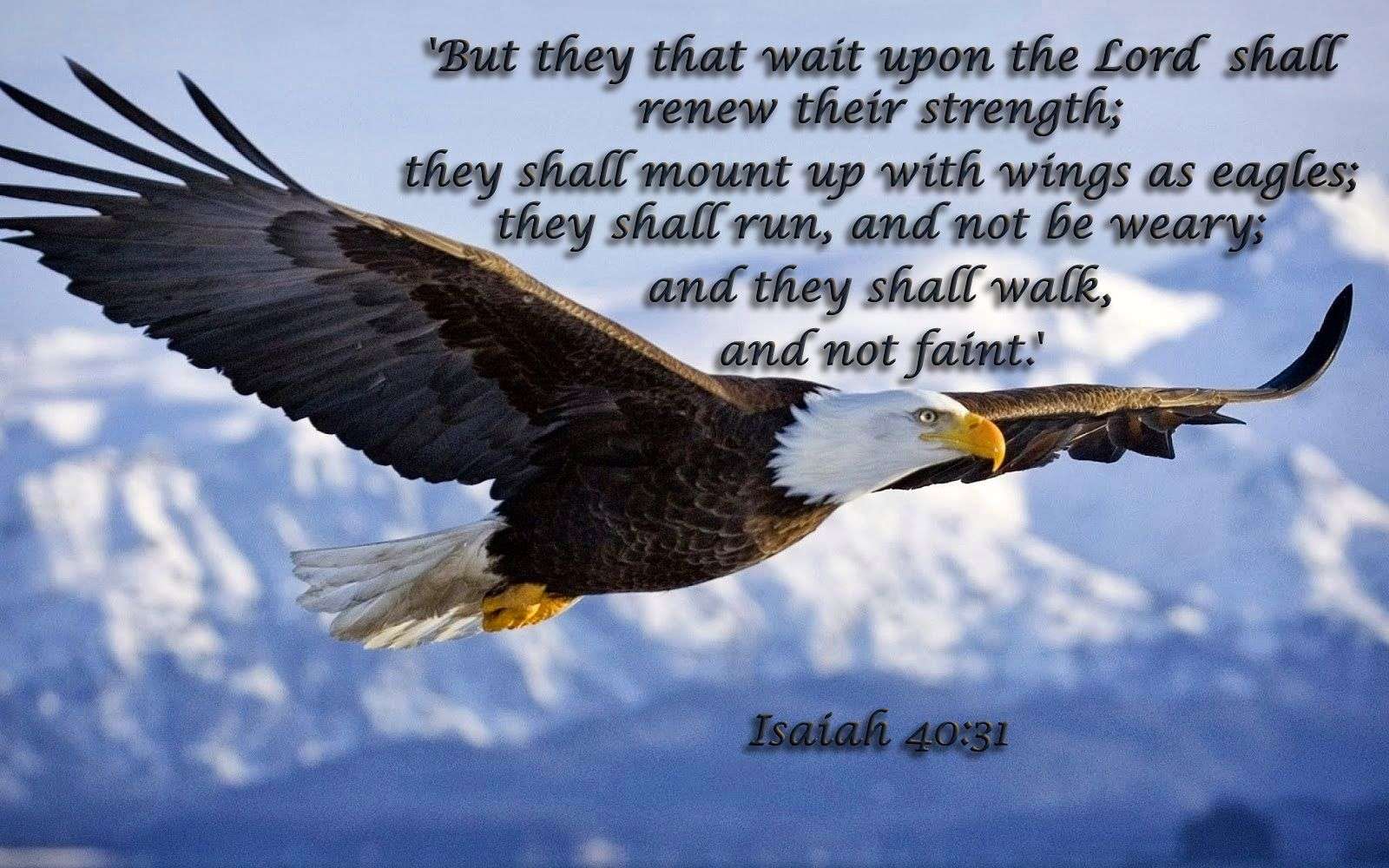 But they that wait upon the Lord shall renew their strength  they shall ...