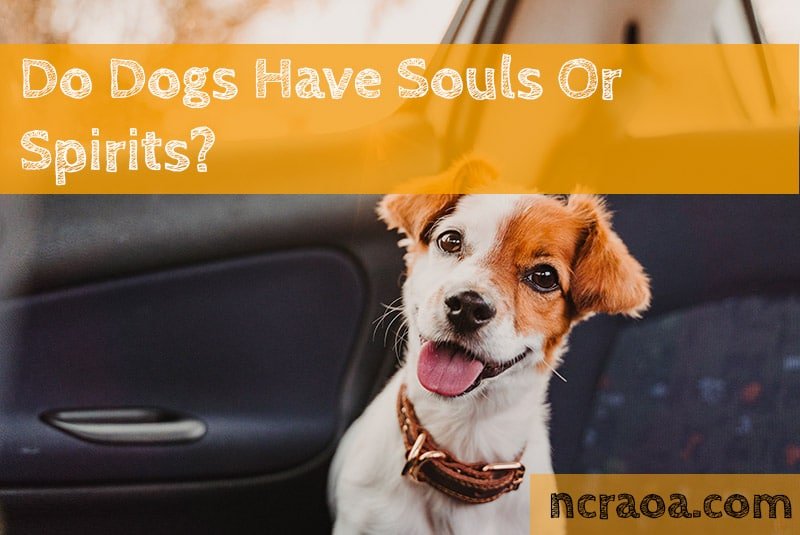 Do Dogs Have Souls? (Or Spirits?)