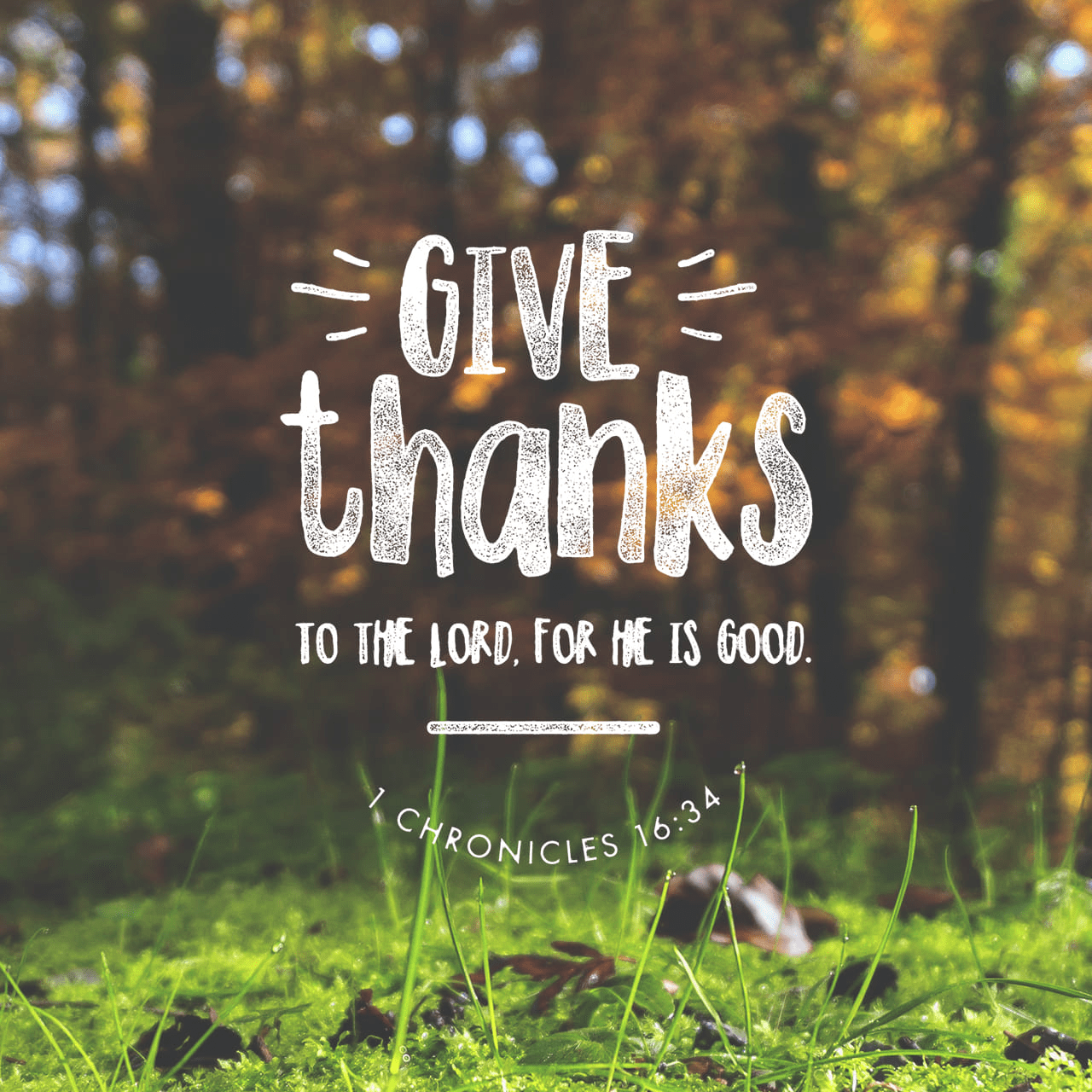 Give Thanks Bible Verse