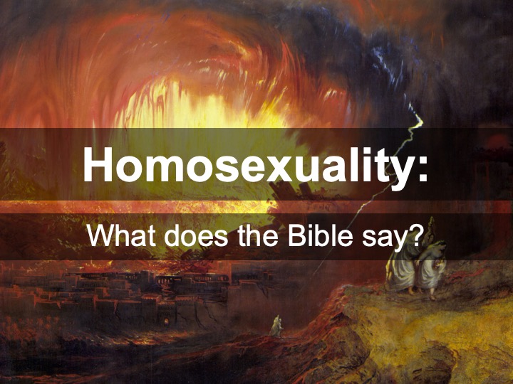 Homosexuality: What Does The Bible Say? : David McPherson : Free ...