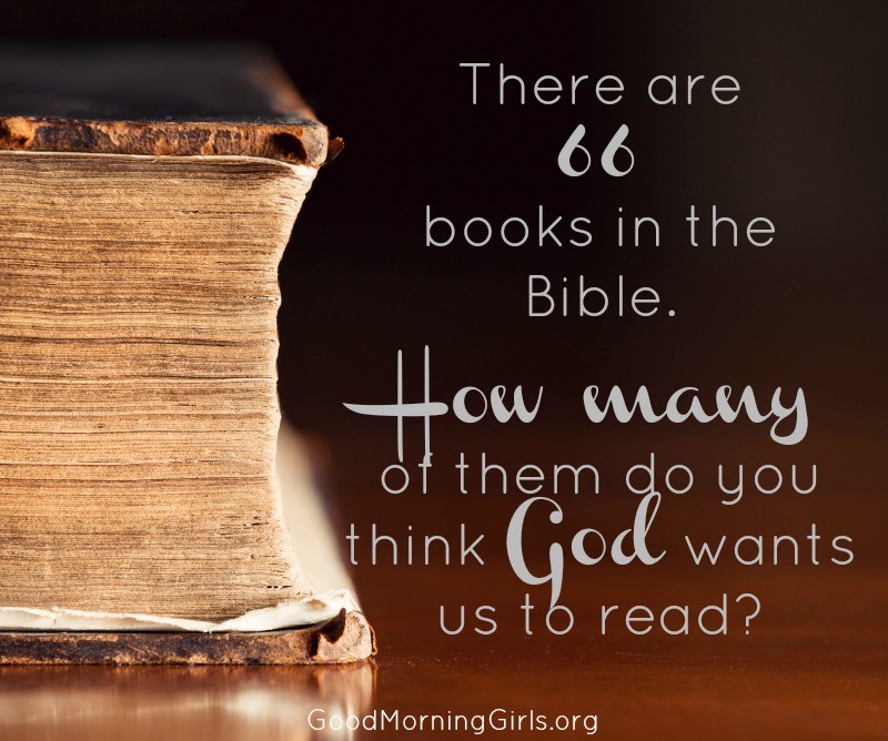 How Much of the Bible Do You Think We Should Read?