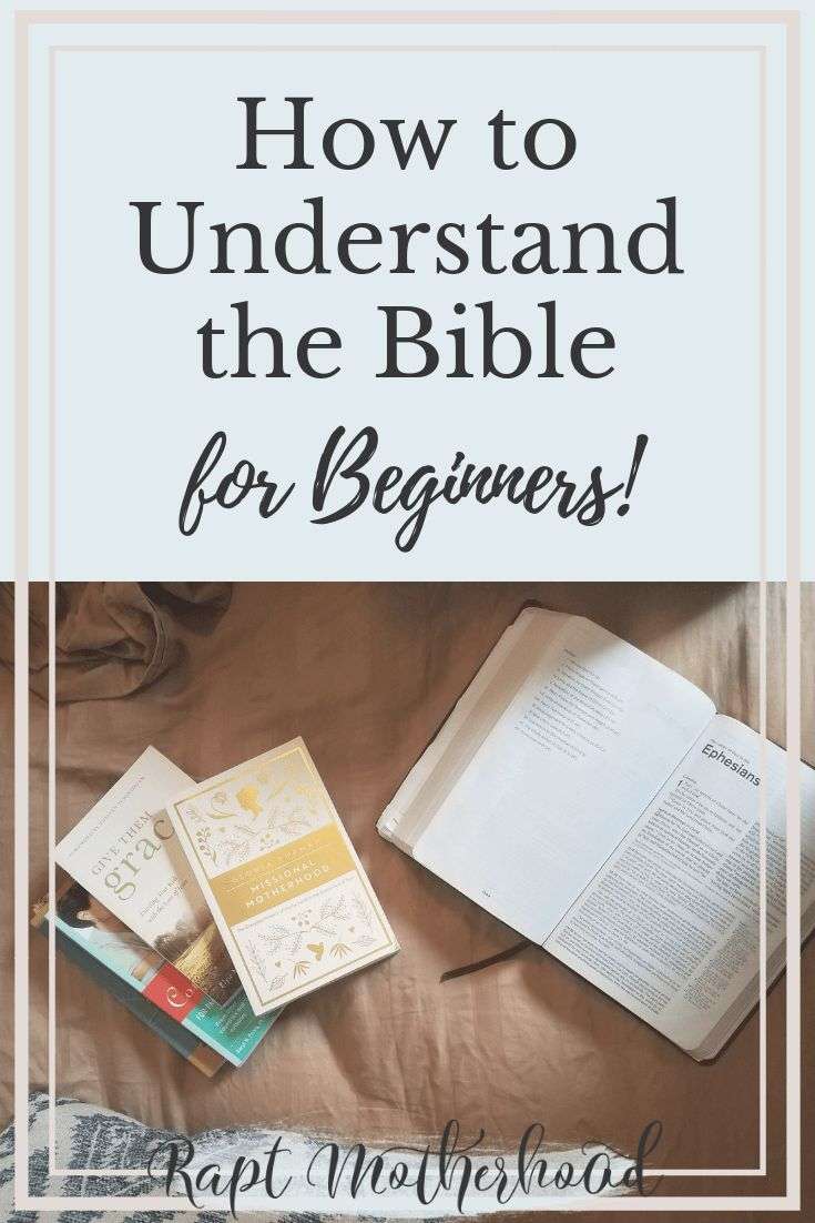 How to Understand the Bible for Beginners
