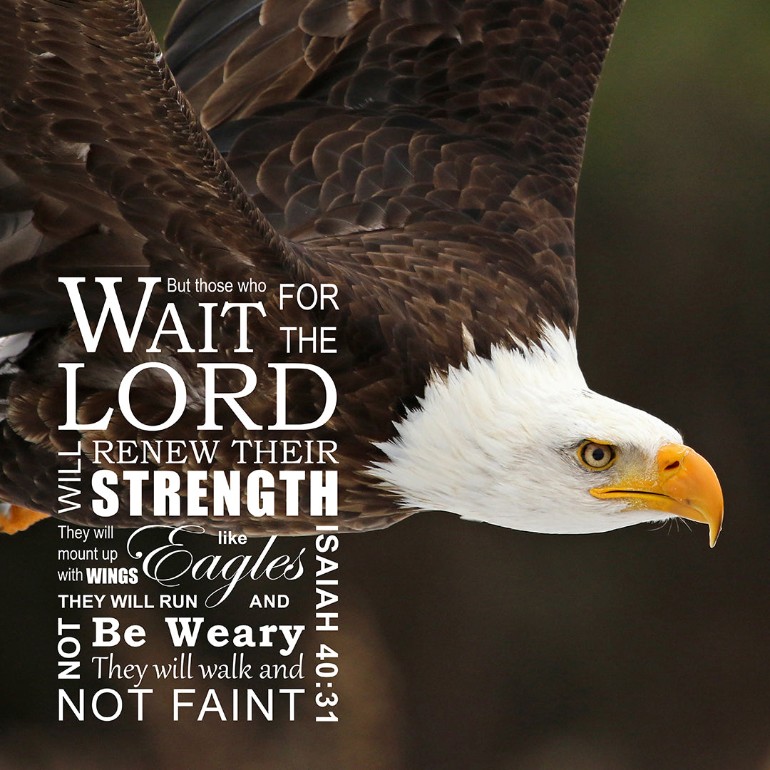 Isaiah 40:31 Wings Like Eagles