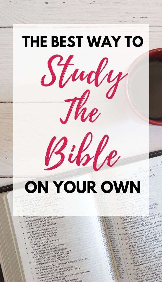 Learn How to Study the Bible in 2020