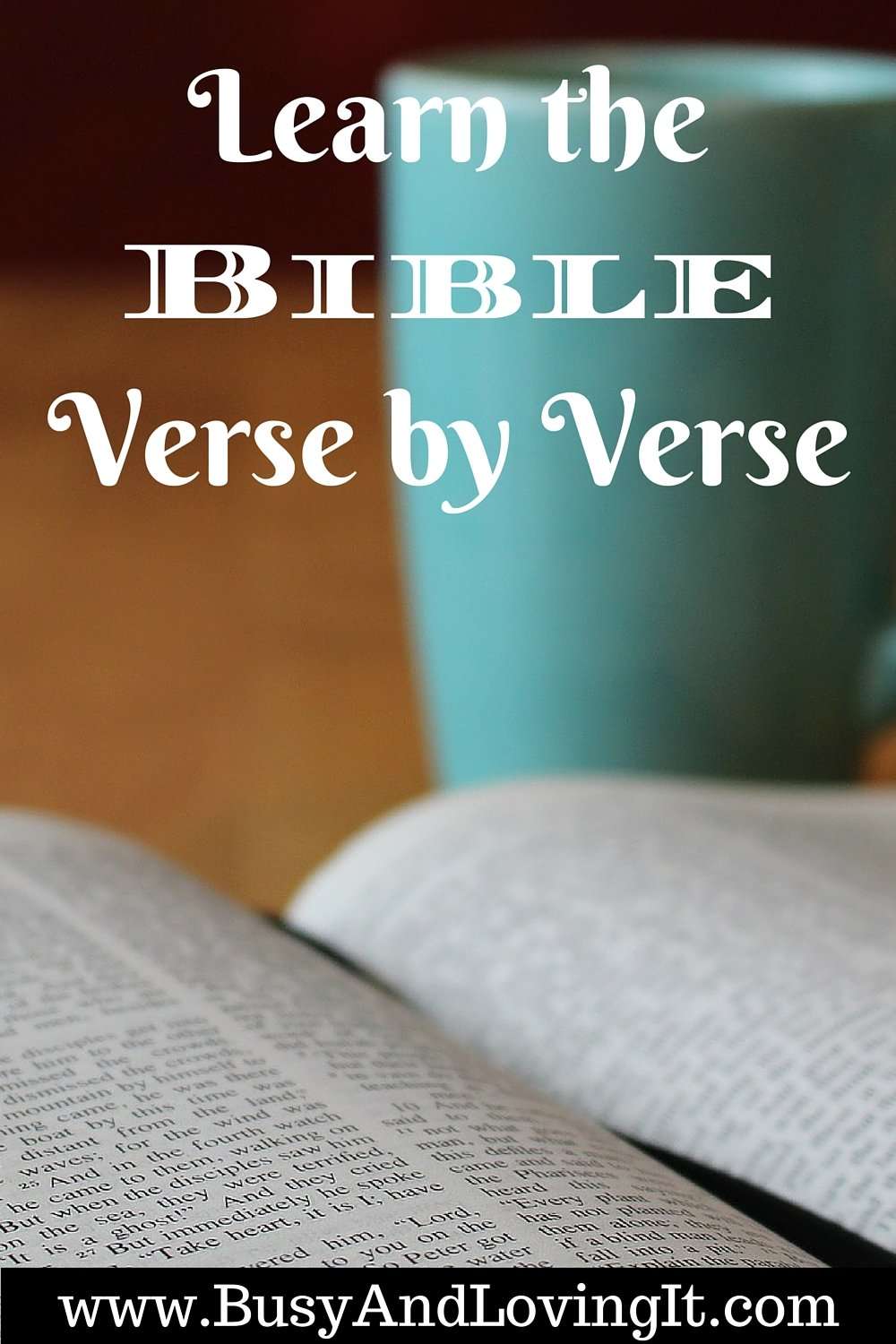 Learn the Bible Verse by Verse