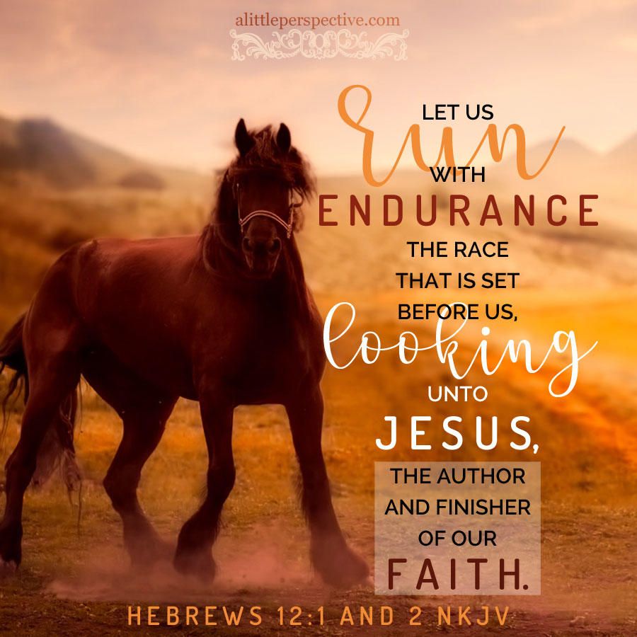 Let us run with endurance the race that is set before us, looking unto ...