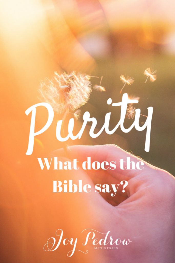 #NEWPOST What does the Bible say about Purity? _JoyPedrow.com