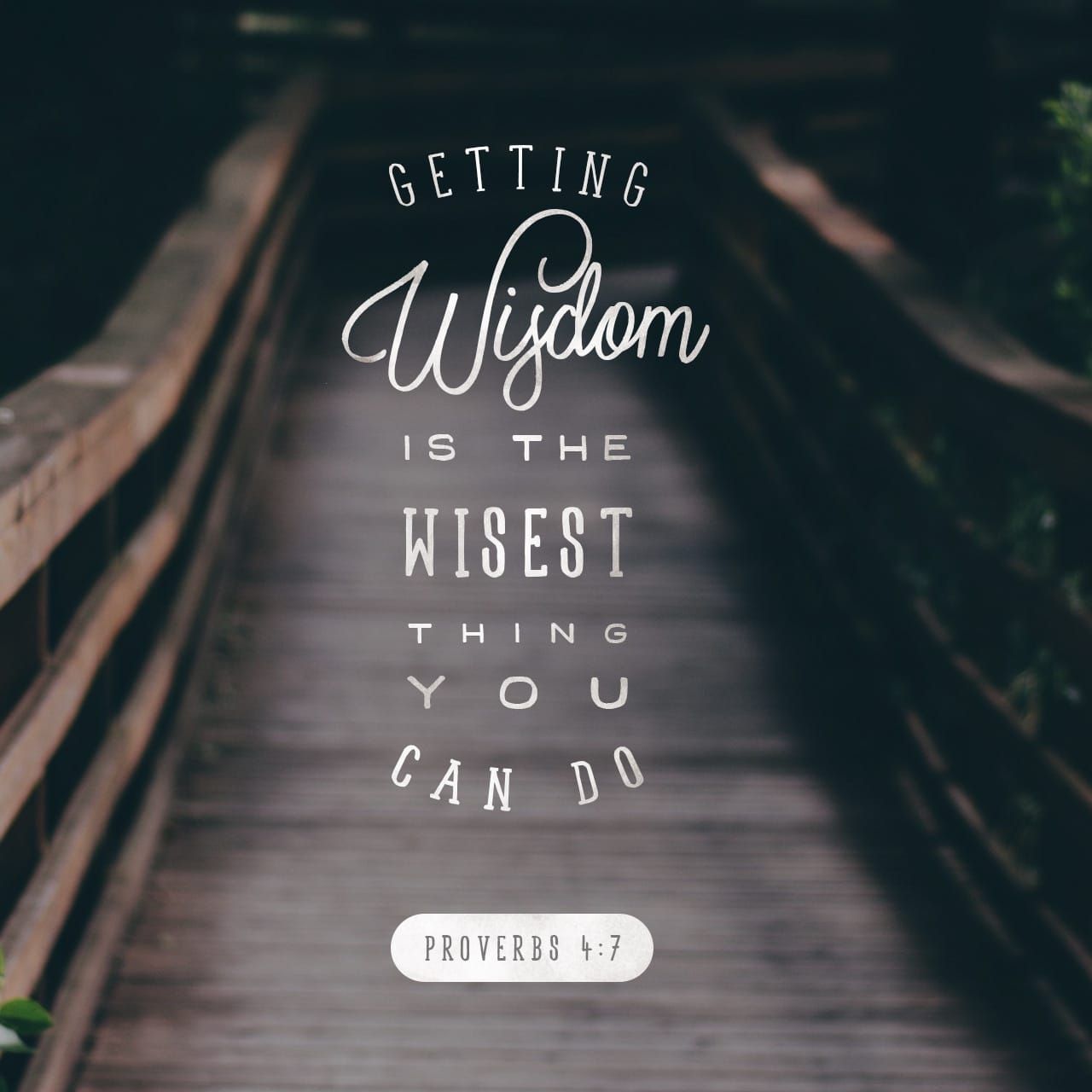Proverbs 4:7 Wisdom is the principal thing  Therefore get wisdom. And ...