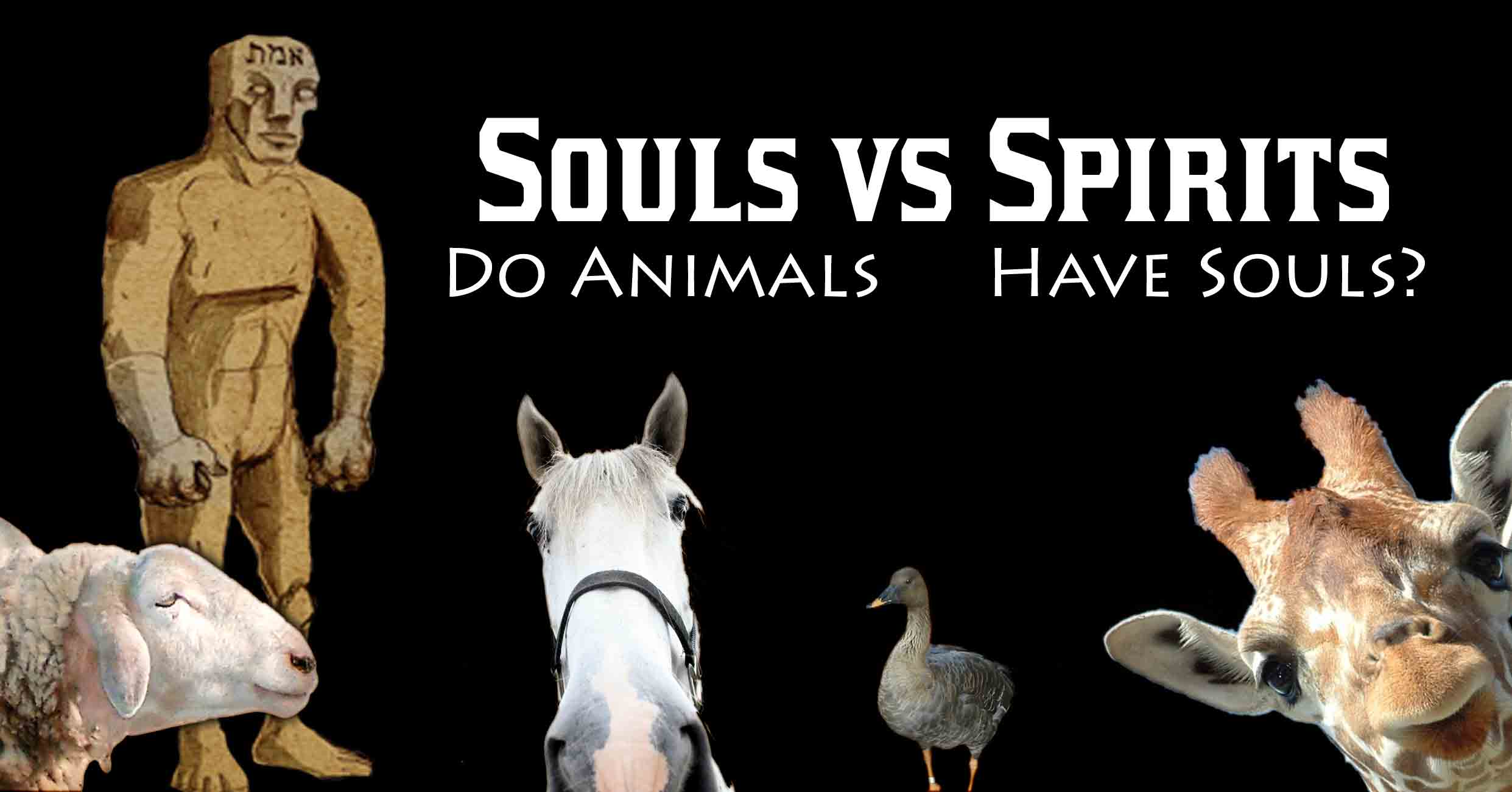 Souls vs. Spirits: Do Animals have Souls? Are We Golems ...