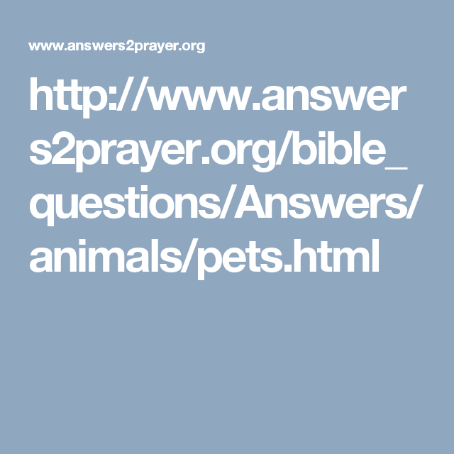 The Bible is very clear that there will be animals in heaven: (With ...