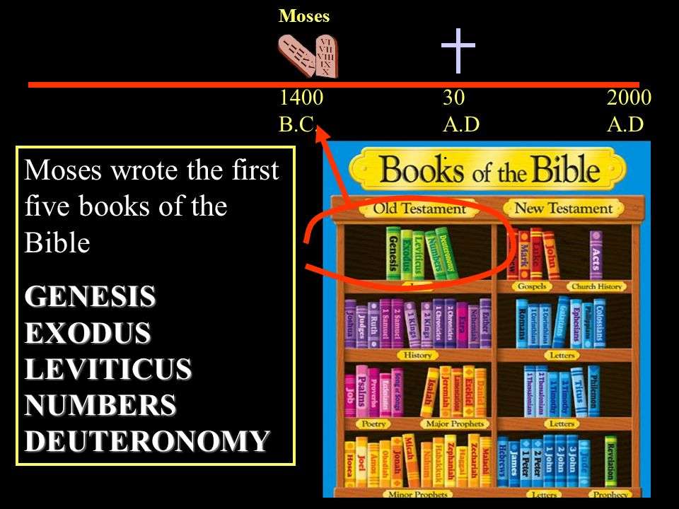 The first five books of the bible are known as ...
