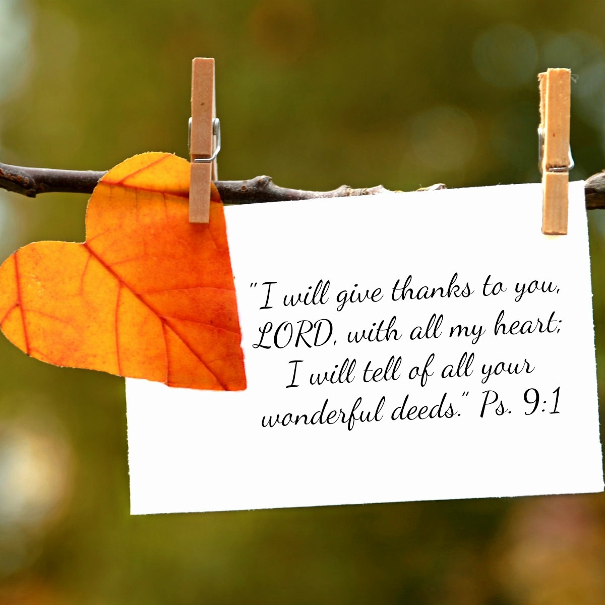 The Power of a Grateful Heart: 21 Verses of Thanks to God ~ Debbie McDaniel