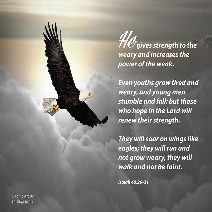 They Will Soar On Wings Like Eagles Photograph by John Tarr Photography ...