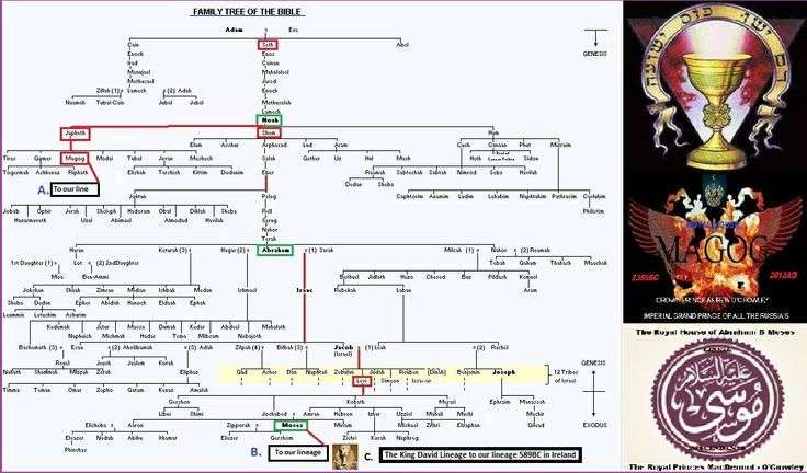 This is our biblical family tree in the broader sense showing all ...