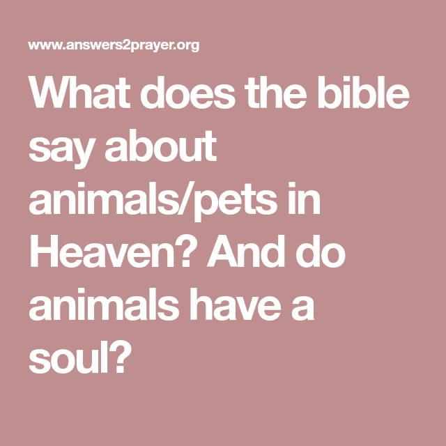 What does the bible say about animals/pets in Heaven? And do animals ...