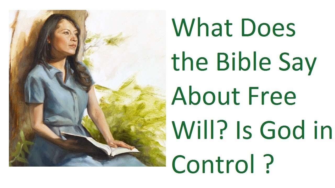 What Does the Bible Say About Free Will ? Is God in ...