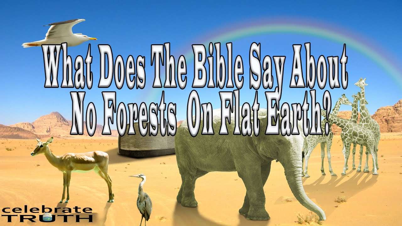 WHAT DOES THE BIBLE SAY about " No Forests on Flat Earth ...