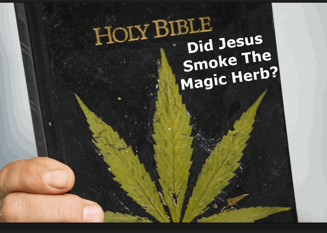 What The Bible Says About Cannabis Oil And Blessed Herb