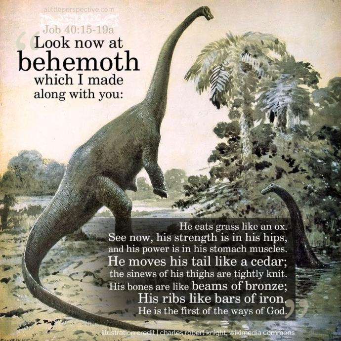 Why are there no dinosaurs in the bible?