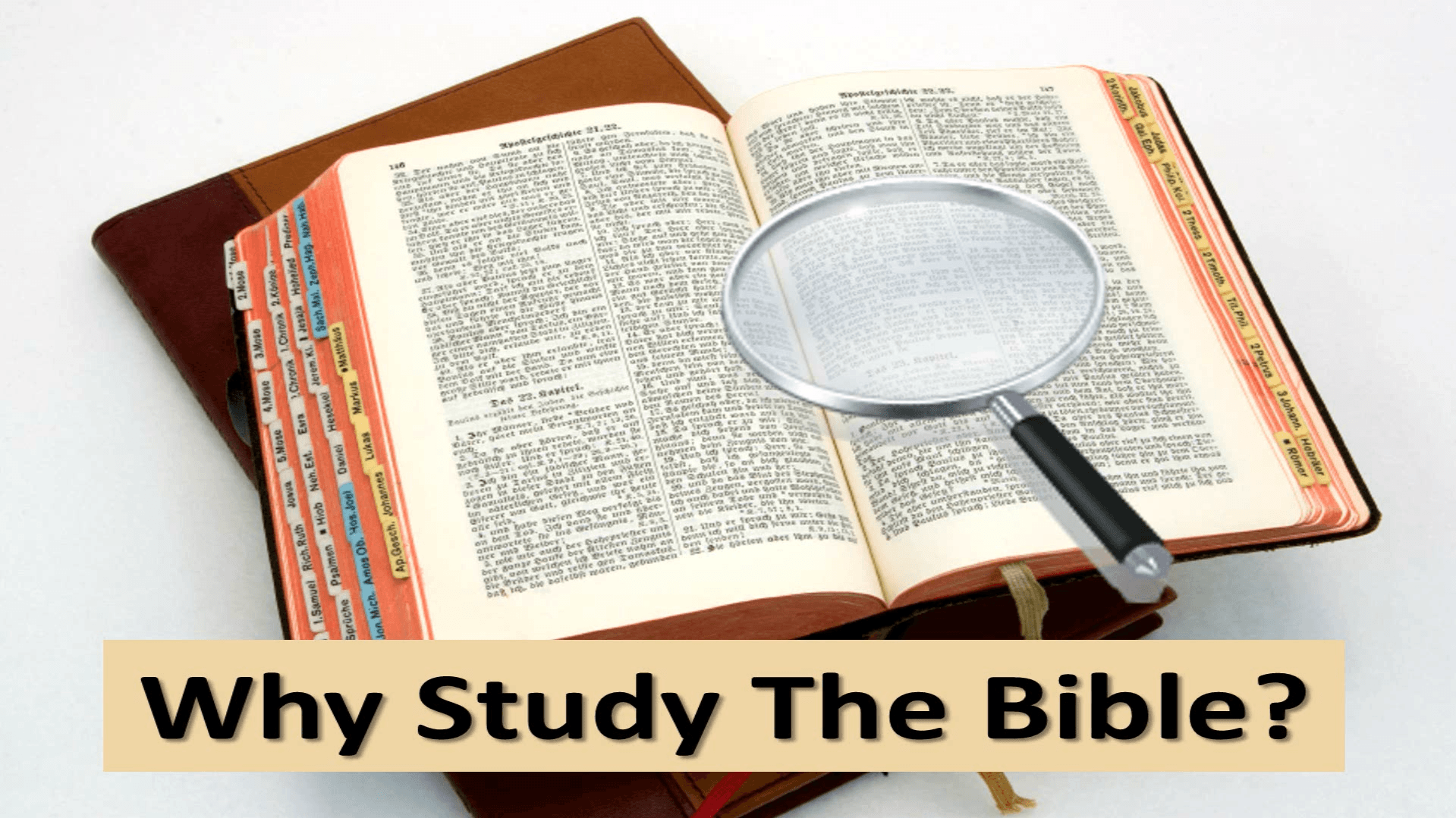 Why Study The Bible?